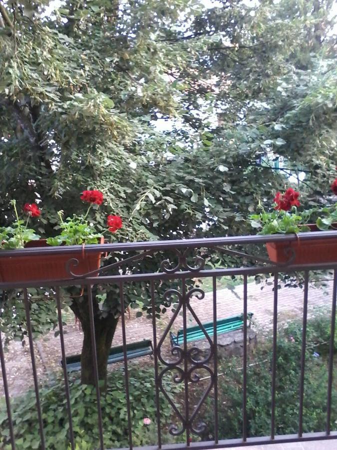 Apartments Olga Virpazar Luaran gambar