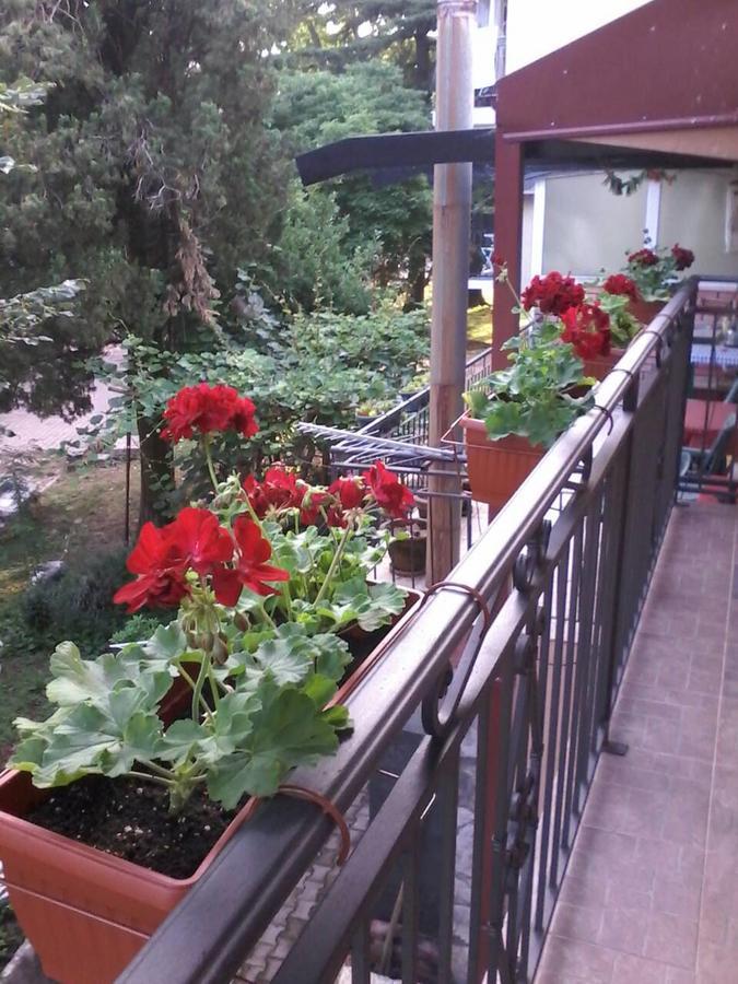 Apartments Olga Virpazar Luaran gambar